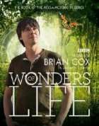 Wonders Of Life