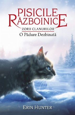 Zorii clanurilor : O pădure dezbinată - Cartea 29 (Set of:Pisicile războiniceCartea 29)