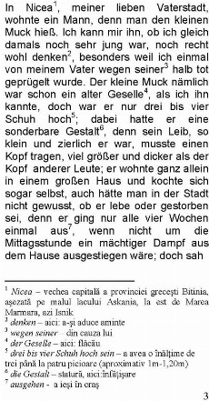 povestea_lui_Muc_Hauff-2005_germana_pagina.jpg